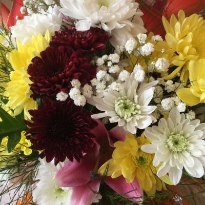 Oasis Event Grounds1886