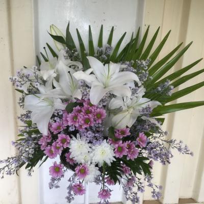 Oasis Event Grounds2337