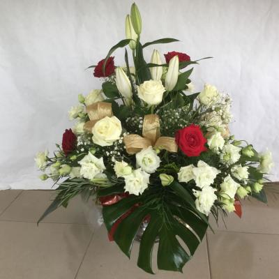 Oasis Garden Flowers 2404