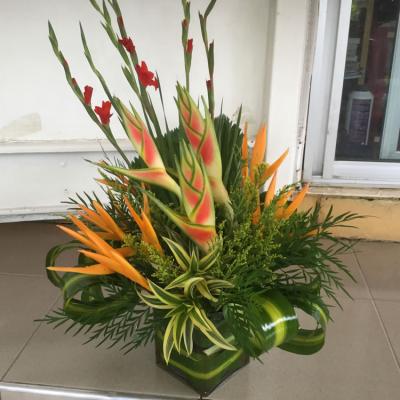 Oasis Garden Flowers 2458