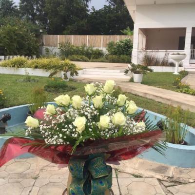 Oasis Garden Flowers 2