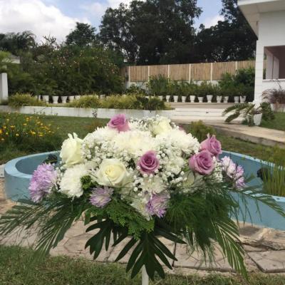 Oasis Garden Flowers 4