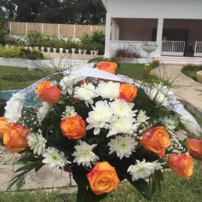 Oasis Garden Flowers 5