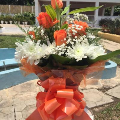 Oasis Garden Flowers 6