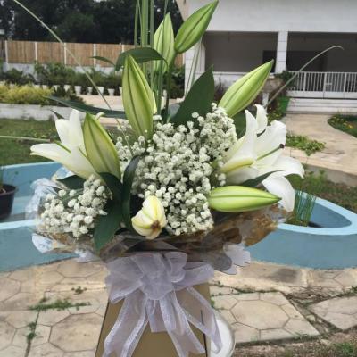 Oasis Garden Flowers 7