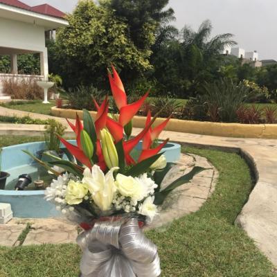 Oasis Garden Flowers1